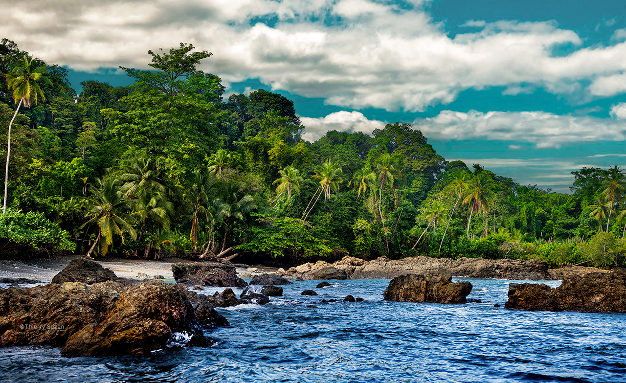 Rich Biodiversity Ecosystem of Corcovado National Park Rainforest, Costa Rica