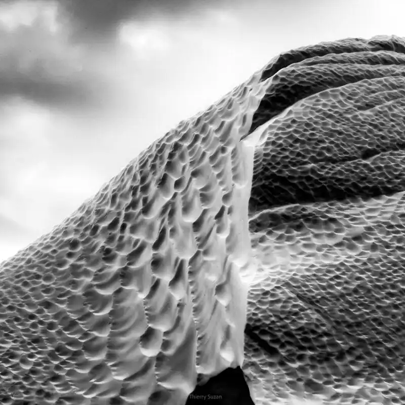 Abstract black and white view of a Greenland iceberg revealing sculptural forms and striking contrasts