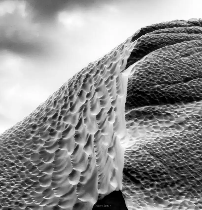 Abstract black and white view of a Greenland iceberg revealing sculptural forms and striking contrasts