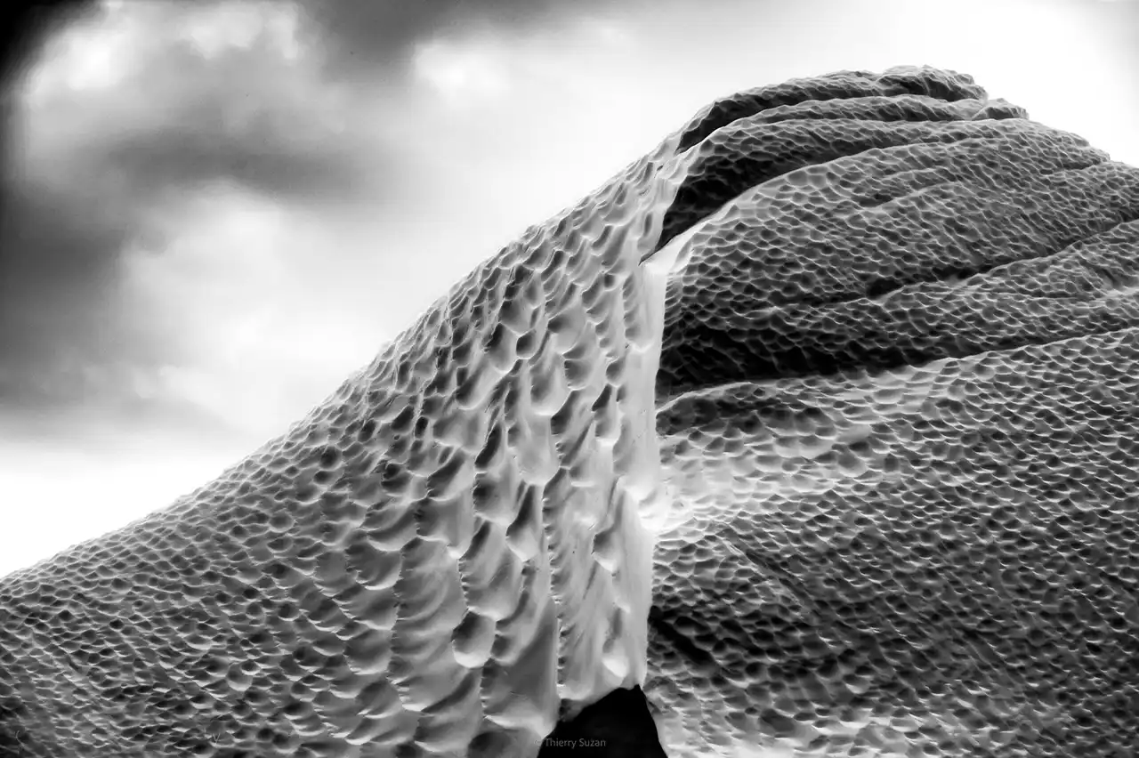 Abstract black and white view of a Greenland iceberg revealing sculptural forms and striking contrasts