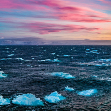 Floating icebergs under a pink and gold sky along Greenland's west coast