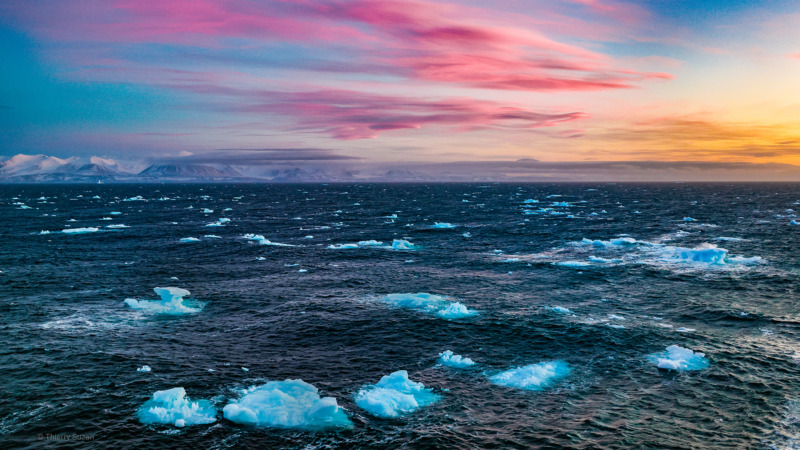 Floating icebergs under a pink and gold sky along Greenland's west coast