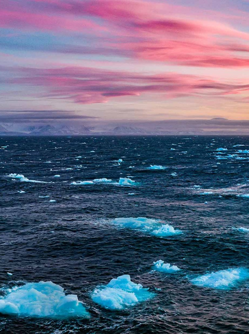 Icebergs under pink and golden Arctic skies, West Greenland coast