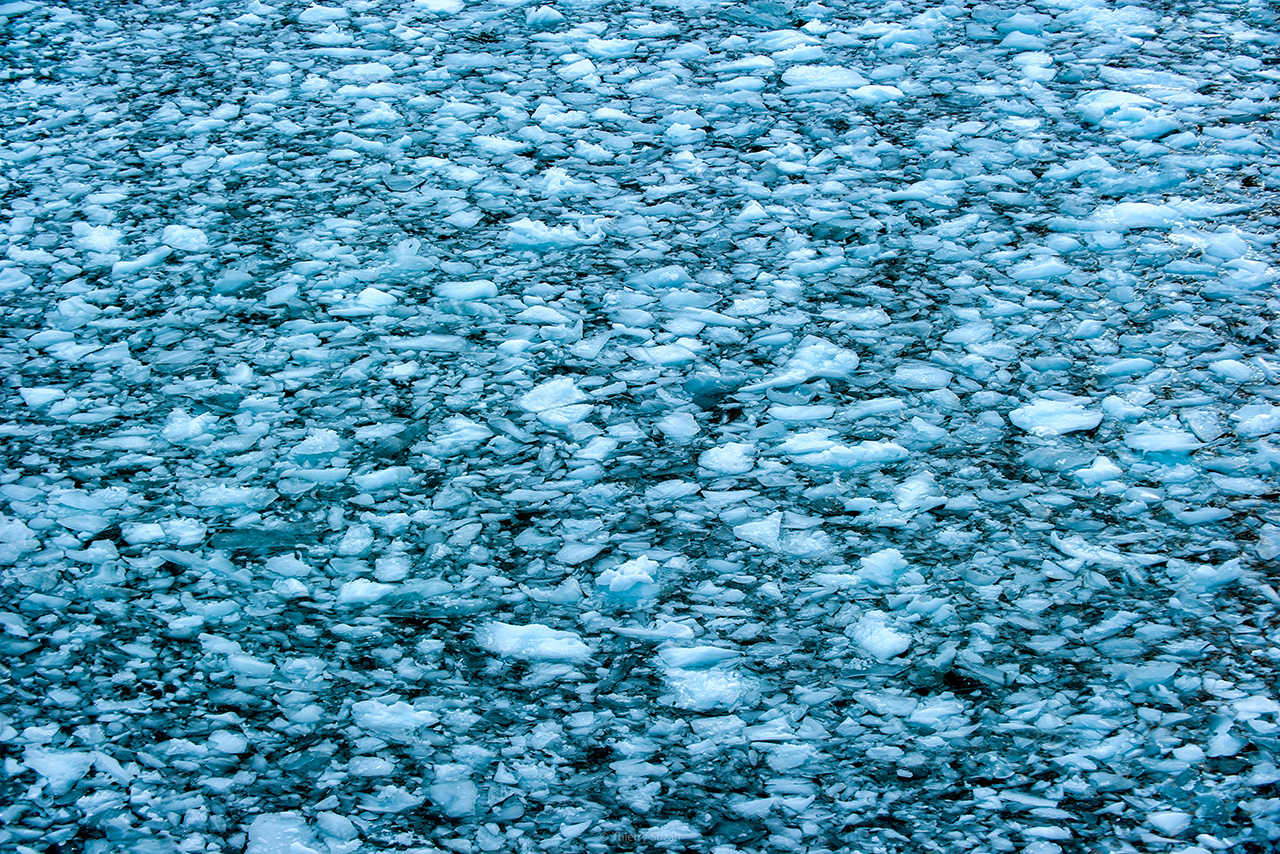 Floating ice in Antarctica