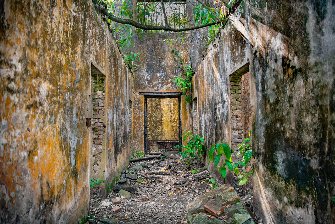 Vegetation-covered ruins of the historic Saint-Joseph penal colony on the Salvation Islands, French Guiana, with palm trees beneath a tropical sky